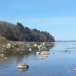 Meet your Posher, Mary